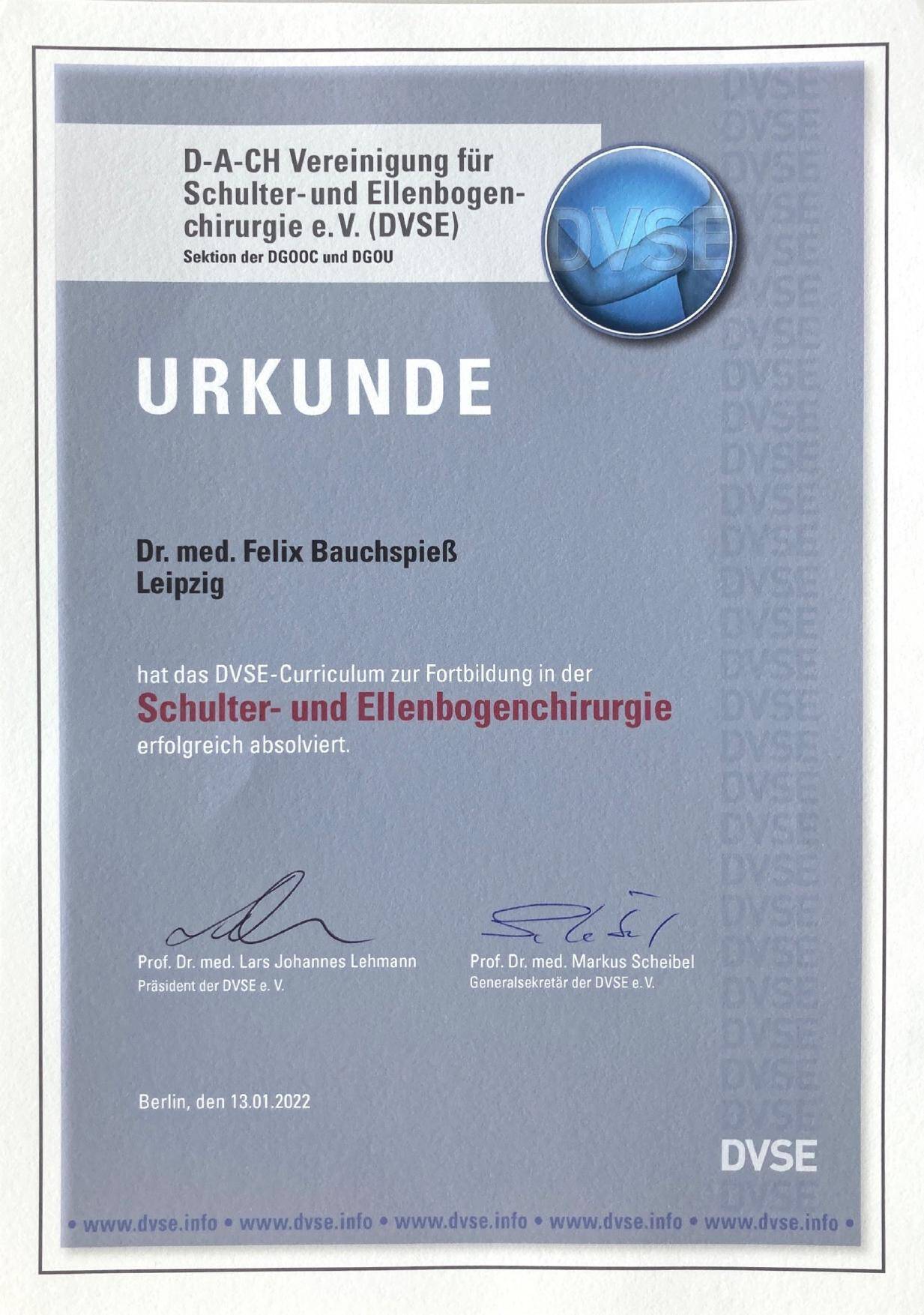 DVSE Zertifikat